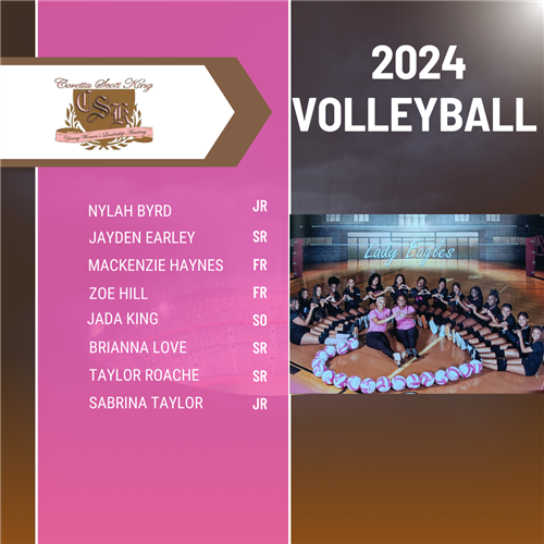 Volleyball Lineup